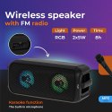 Głośnik bluetooth z radiem / funkcja karaoke